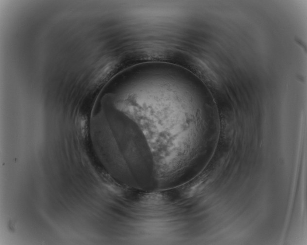 X0000092110123200709121625