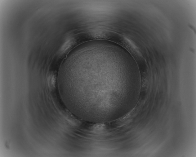 X0000092110124200709121625