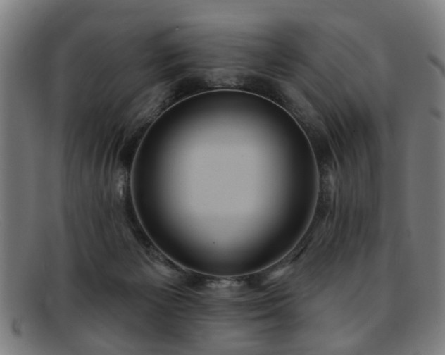 X0000092110125200709121625