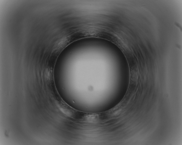 X0000092110126200709121625