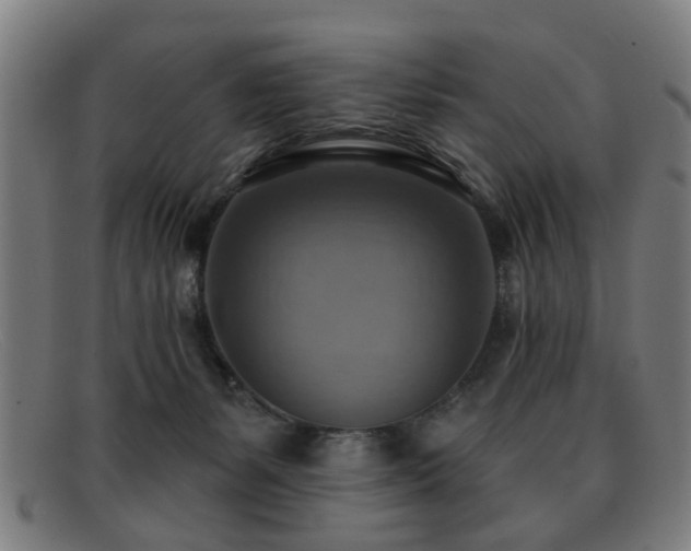 X0000092110127200709121625