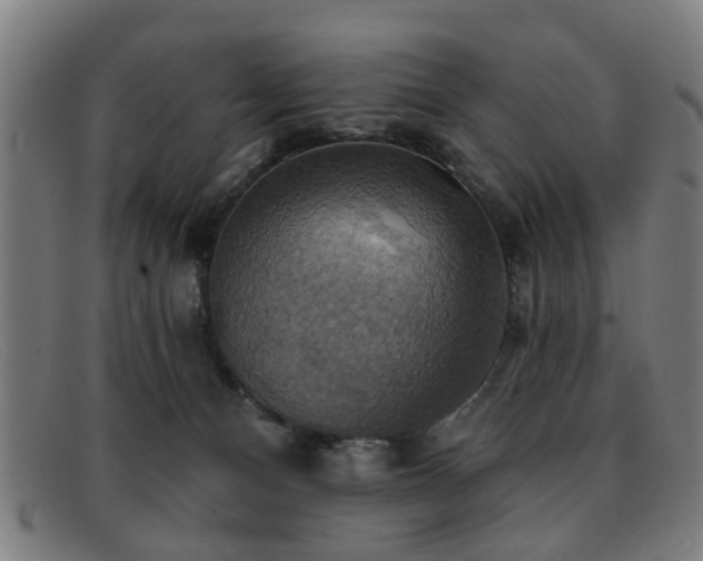 X0000092110128200709121625