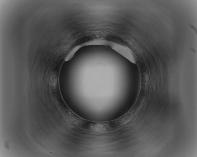 X0000092110129200709121625