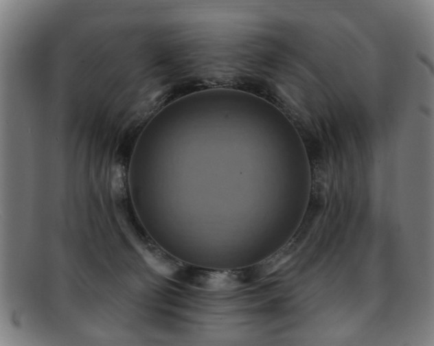 X0000092110130200709121625