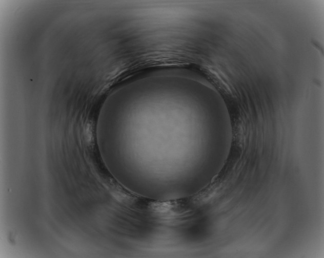 X0000092110131200709121625