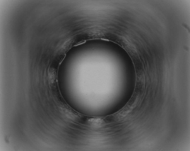 X0000092110133200709121625