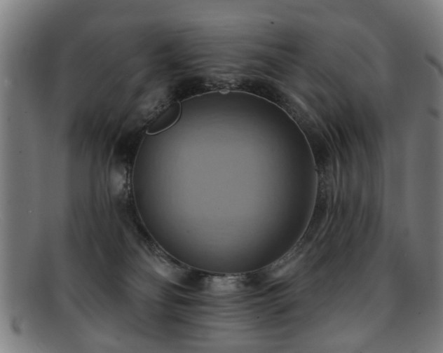 X0000092110134200709121625