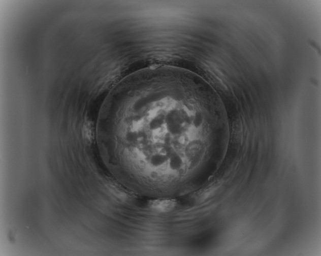 X0000092110135200709121625