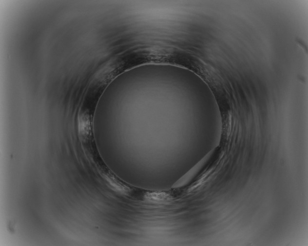 X0000092110137200709121625