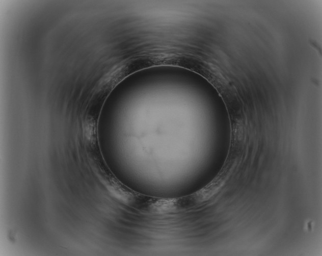 X0000092110138200709121625