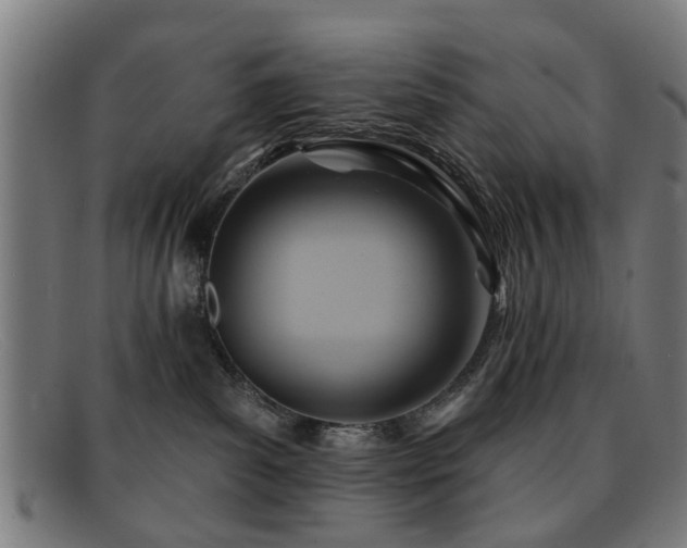 X0000092110139200709121625