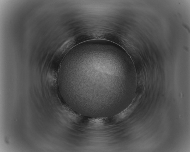 X0000092110140200709121625