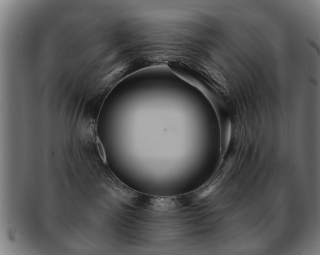 X0000092110141200709121625