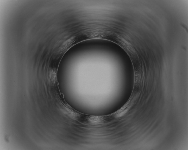 X0000092110142200709121625