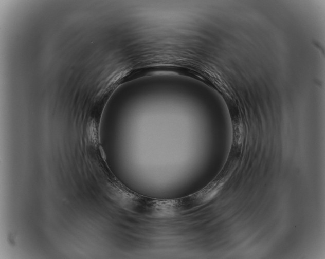 X0000092110143200709121625