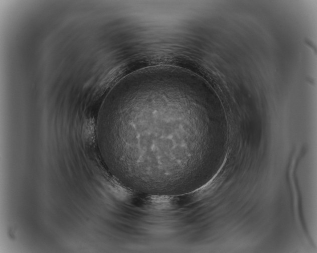 X0000092110144200709121625