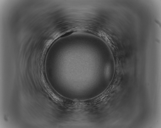 X0000092110145200709121624