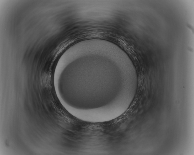 X0000092110146200709121624