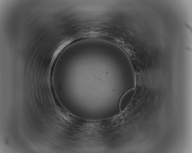 X0000092110147200709121624