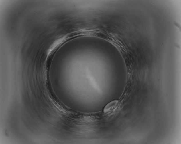 X0000092110149200709121624