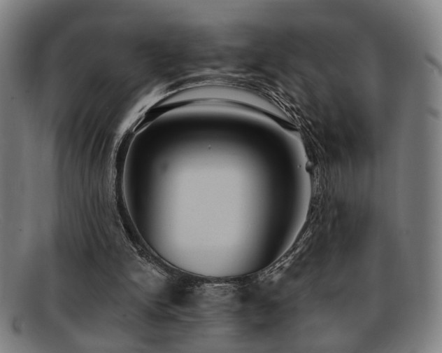 X0000092110150200709121624