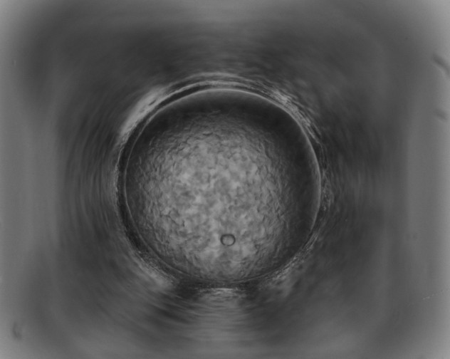 X0000092110151200709121624