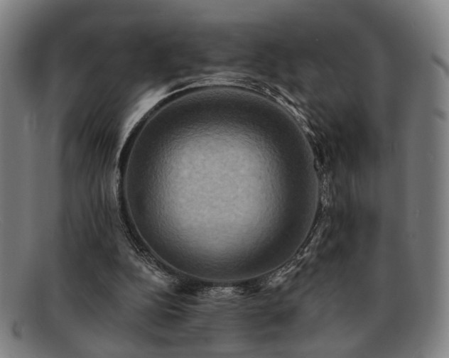 X0000092110152200709121624