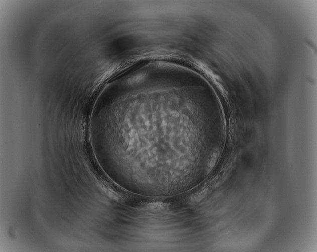 X0000092110153200709121624