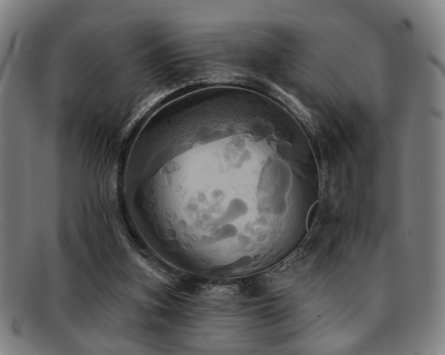 X0000092110155200709121624