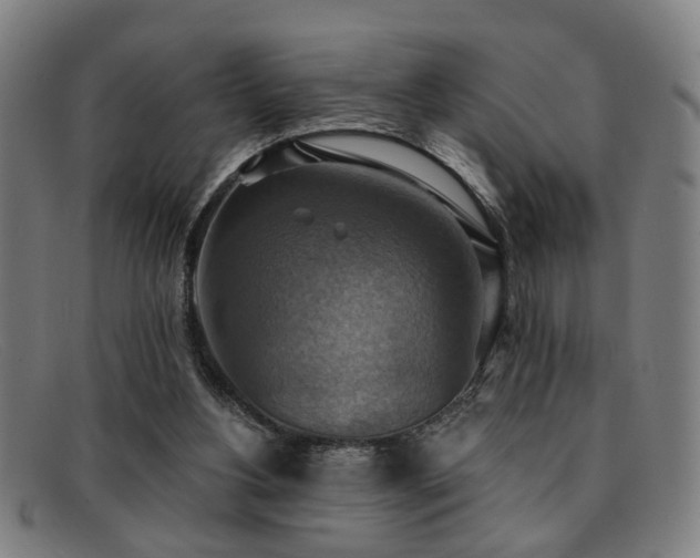 X0000092110156200709121624