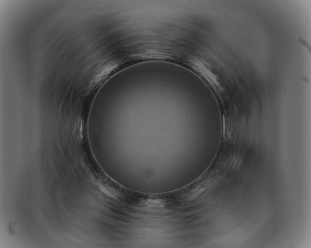 X0000092110157200709121624