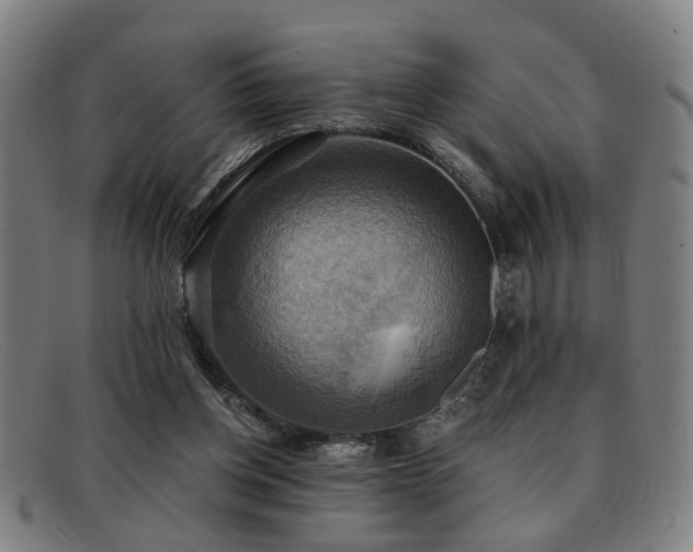 X0000092110158200709121624