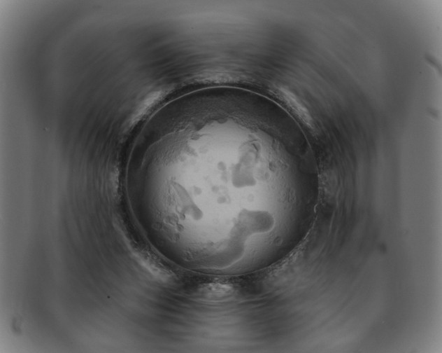 X0000092110159200709121624