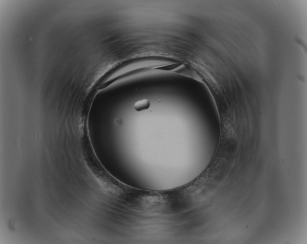 X0000092110160200709121624