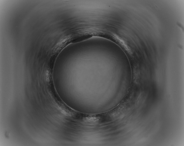 X0000092110161200709121624