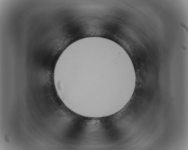 X0000092110162200709121624