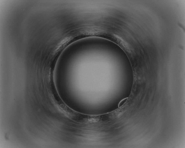 X0000092110163200709121625