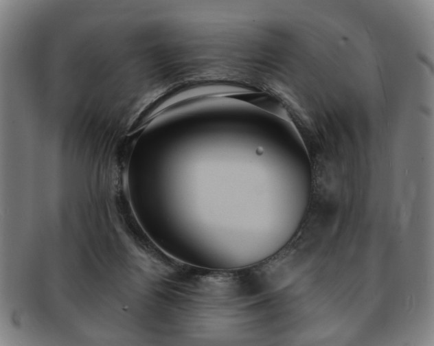 X0000092110164200709121625