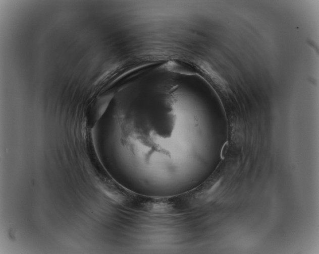 X0000092110165200709121625