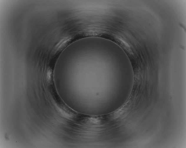 X0000092110166200709121625