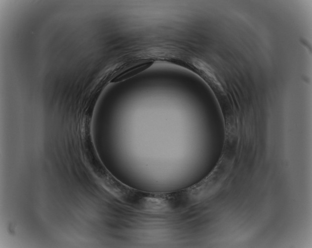 X0000092110167200709121625