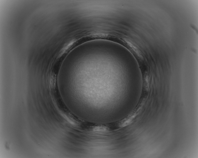 X0000092110168200709121625