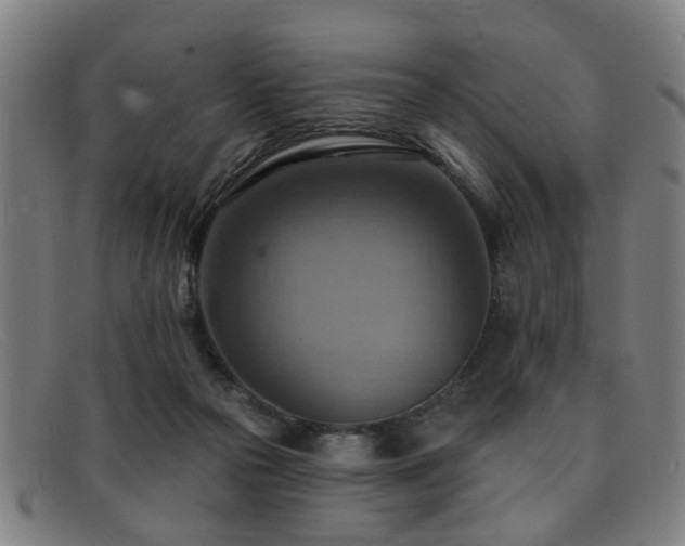 X0000092110169200709121625