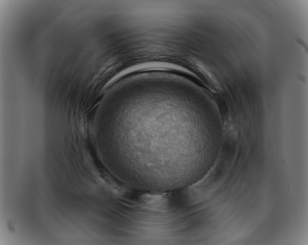 X0000092110170200709121625