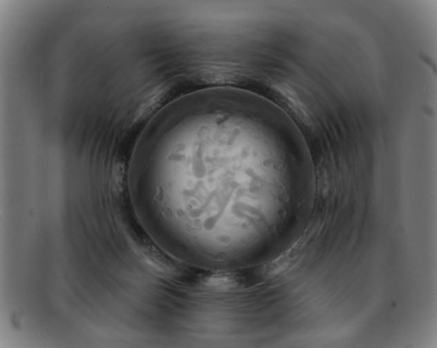 X0000092110171200709121625