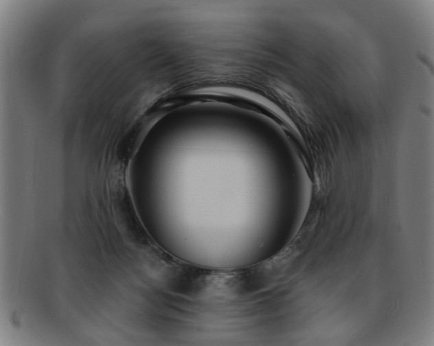 X0000092110172200709121625