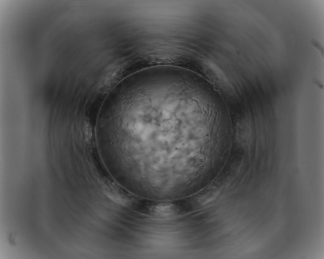 X0000092110173200709121625