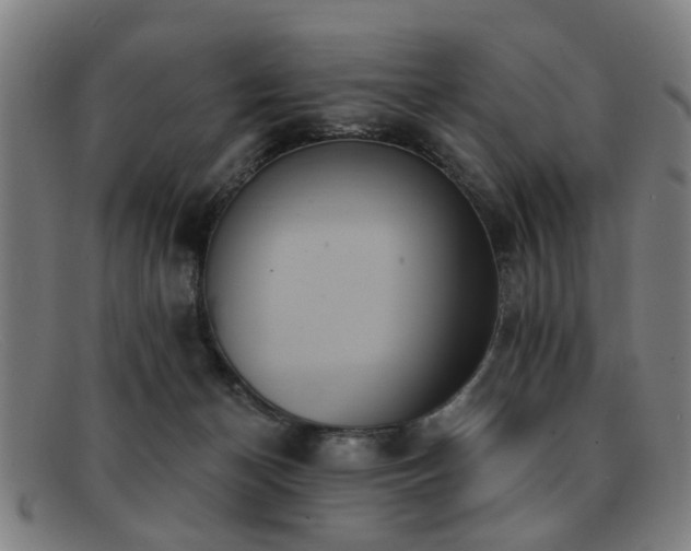 X0000092110174200709121625