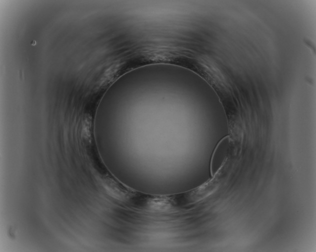 X0000092110175200709121625