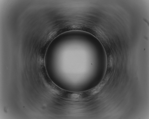 X0000092110176200709121625